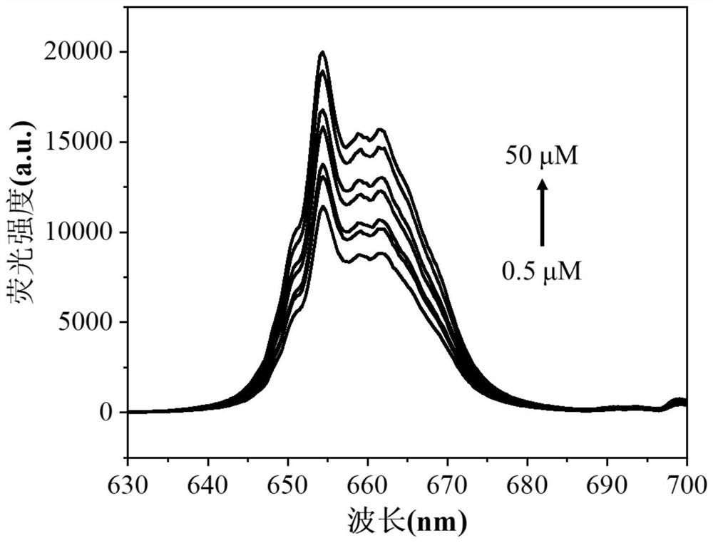 Method for detecting content of kanamycin in milk based on up-conversion and BHQ3 specific system