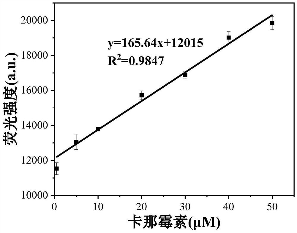 Method for detecting content of kanamycin in milk based on up-conversion and BHQ3 specific system