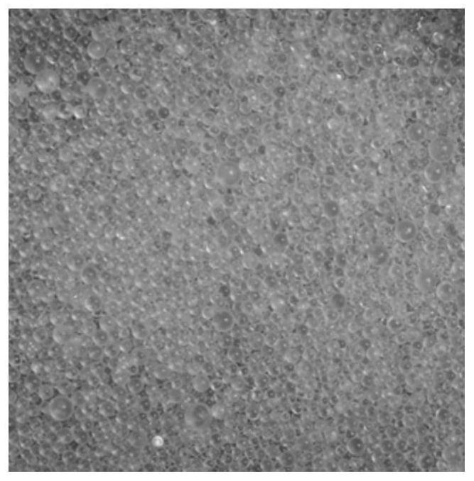 Flame-retardant EPS foam material as well as preparation method and application thereof