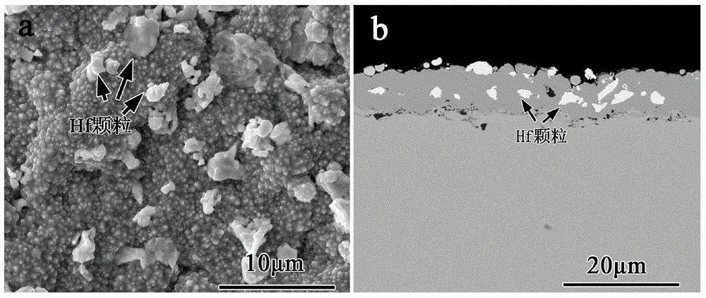 Method for introducing rare metal Hf element into coating
