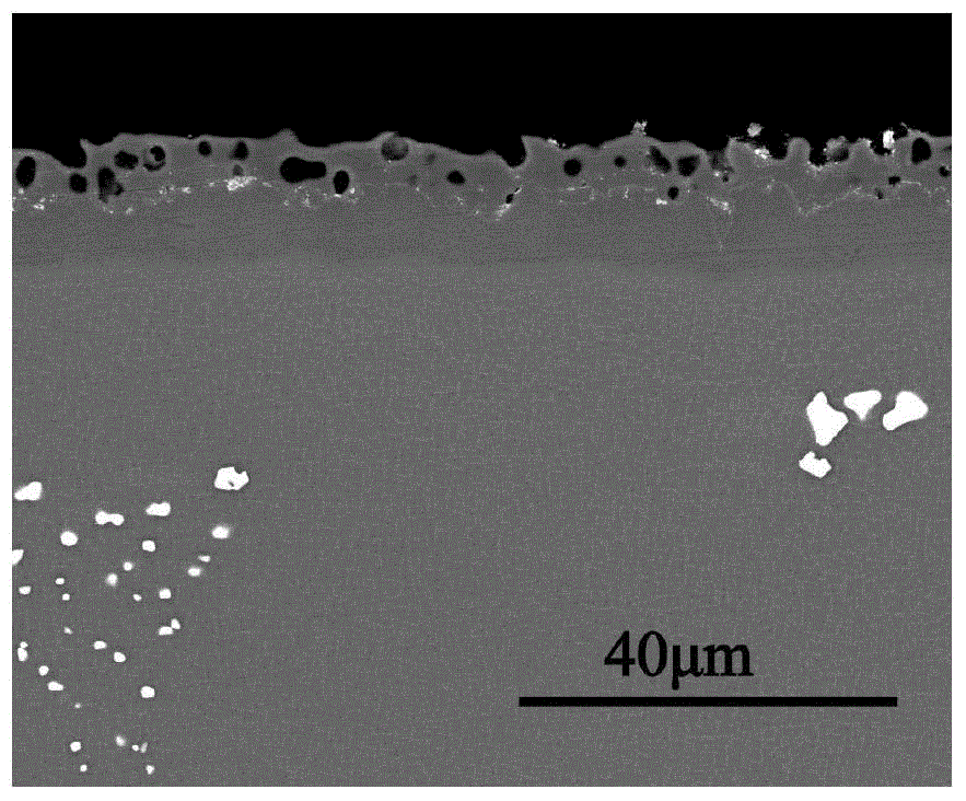 Method for introducing rare metal Hf element into coating