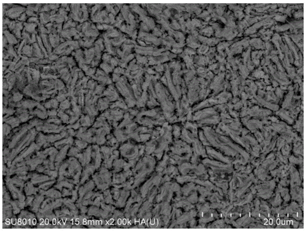 Preparation method of molybdenum and antimony co-doped titanium-based tin dioxide electrocatalytic electrode