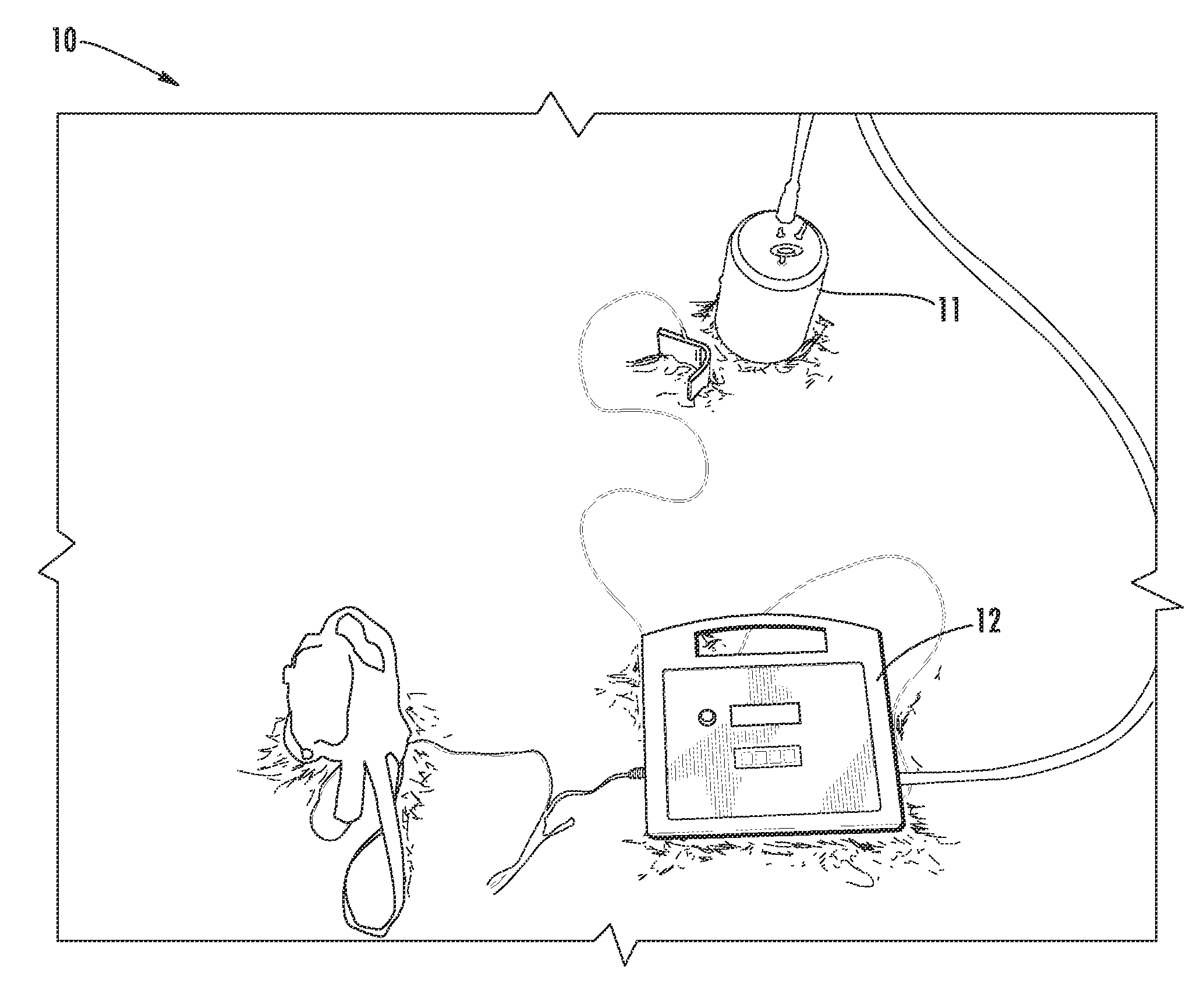 Apparatus and method for assessing subgrade corrosion