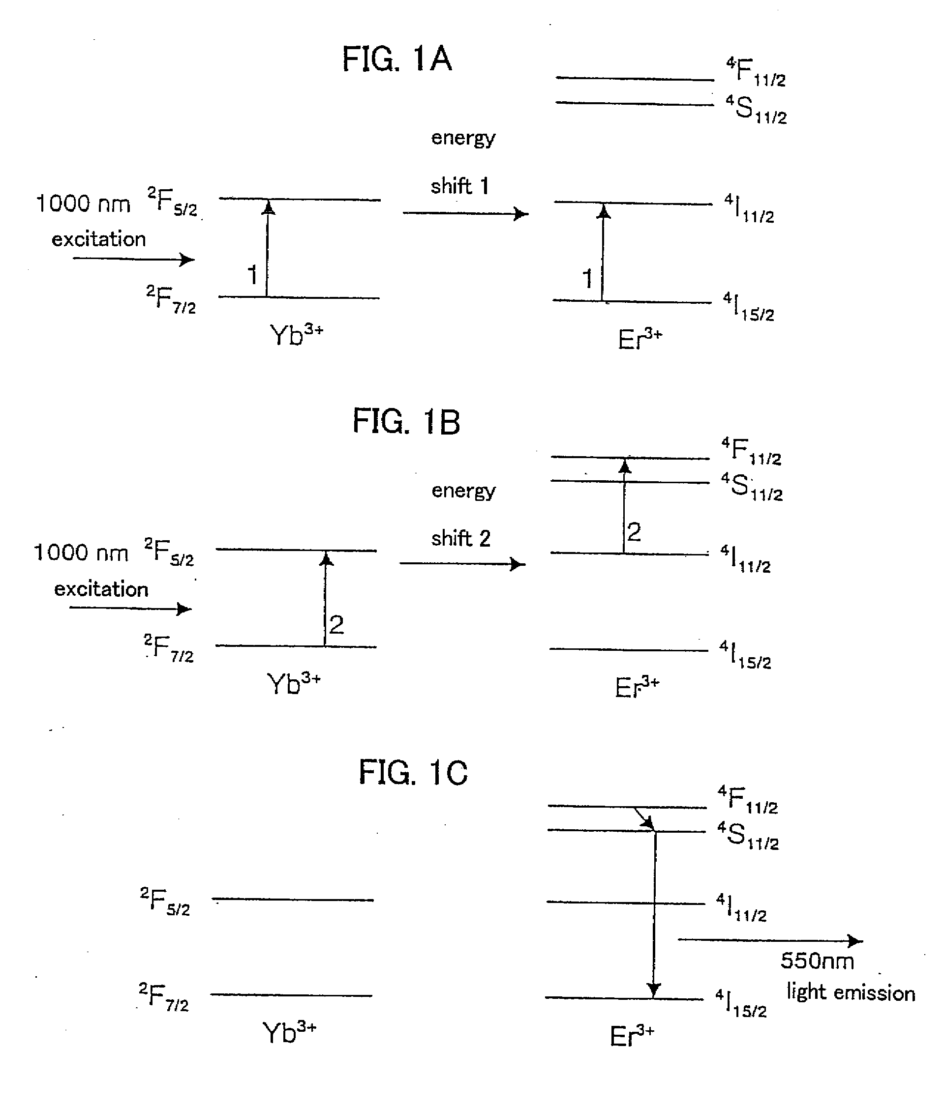 Fine particles containing rare earth element and fluorescent probe using the same