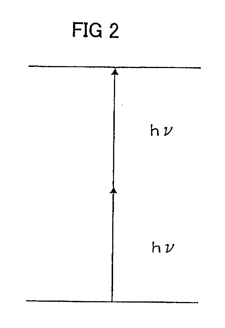 Fine particles containing rare earth element and fluorescent probe using the same