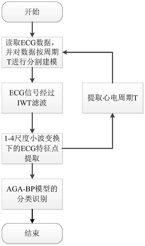 ECG identity recognition method based on IWT and AGA-BP model