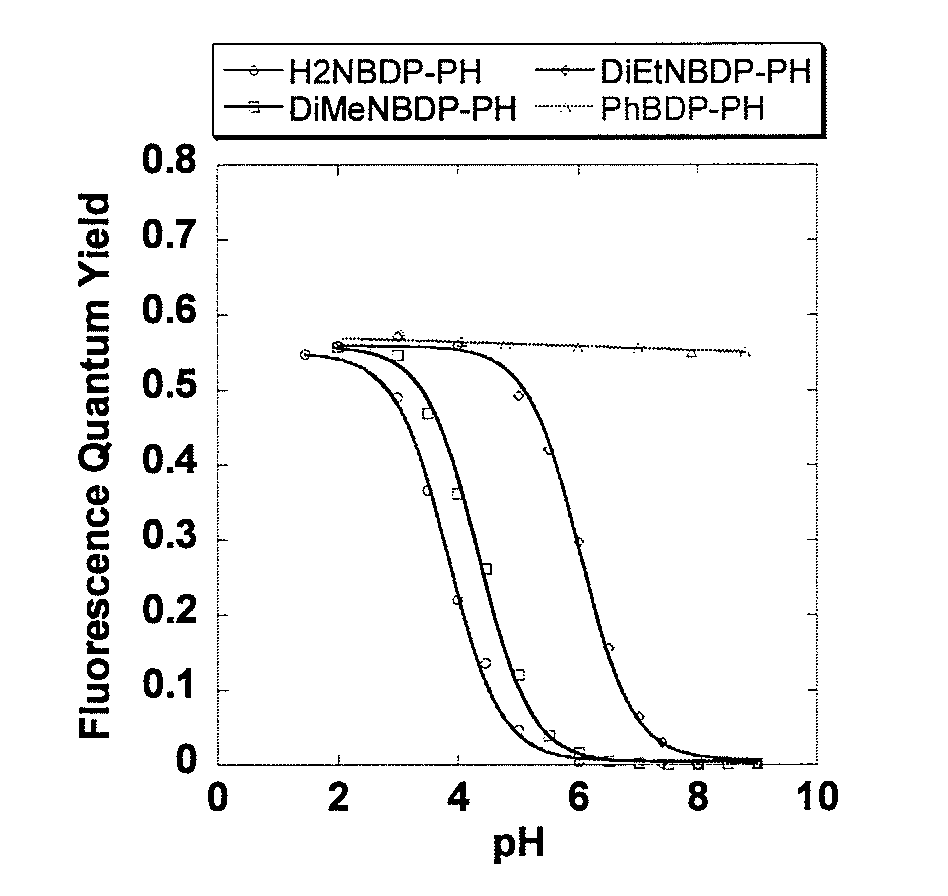pH-Sensitive Fluorescent Probe