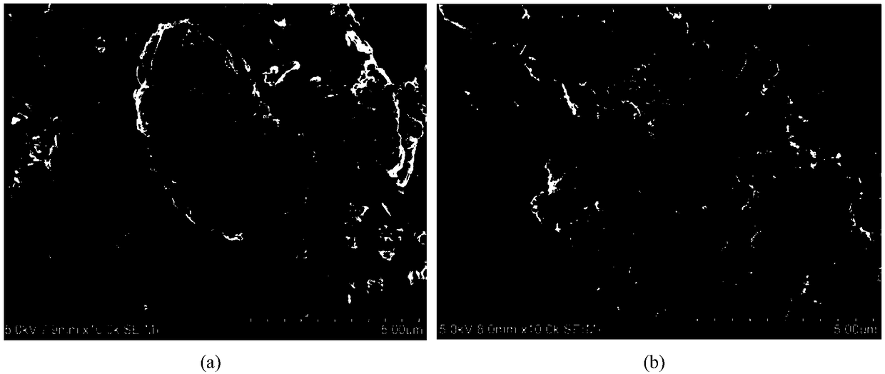 Preparation method of microbial flocculating agent for treating lead-zinc waste water