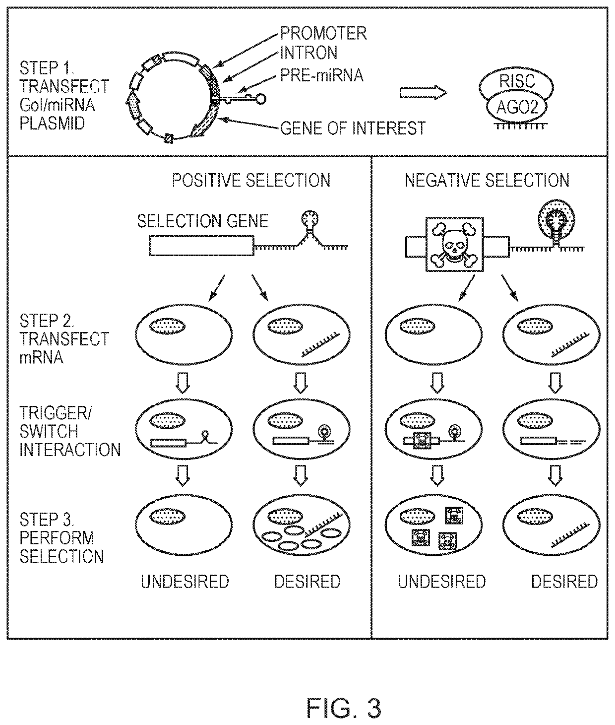 Methods and compositions for use of non-coding RNA in cell culturing and selection