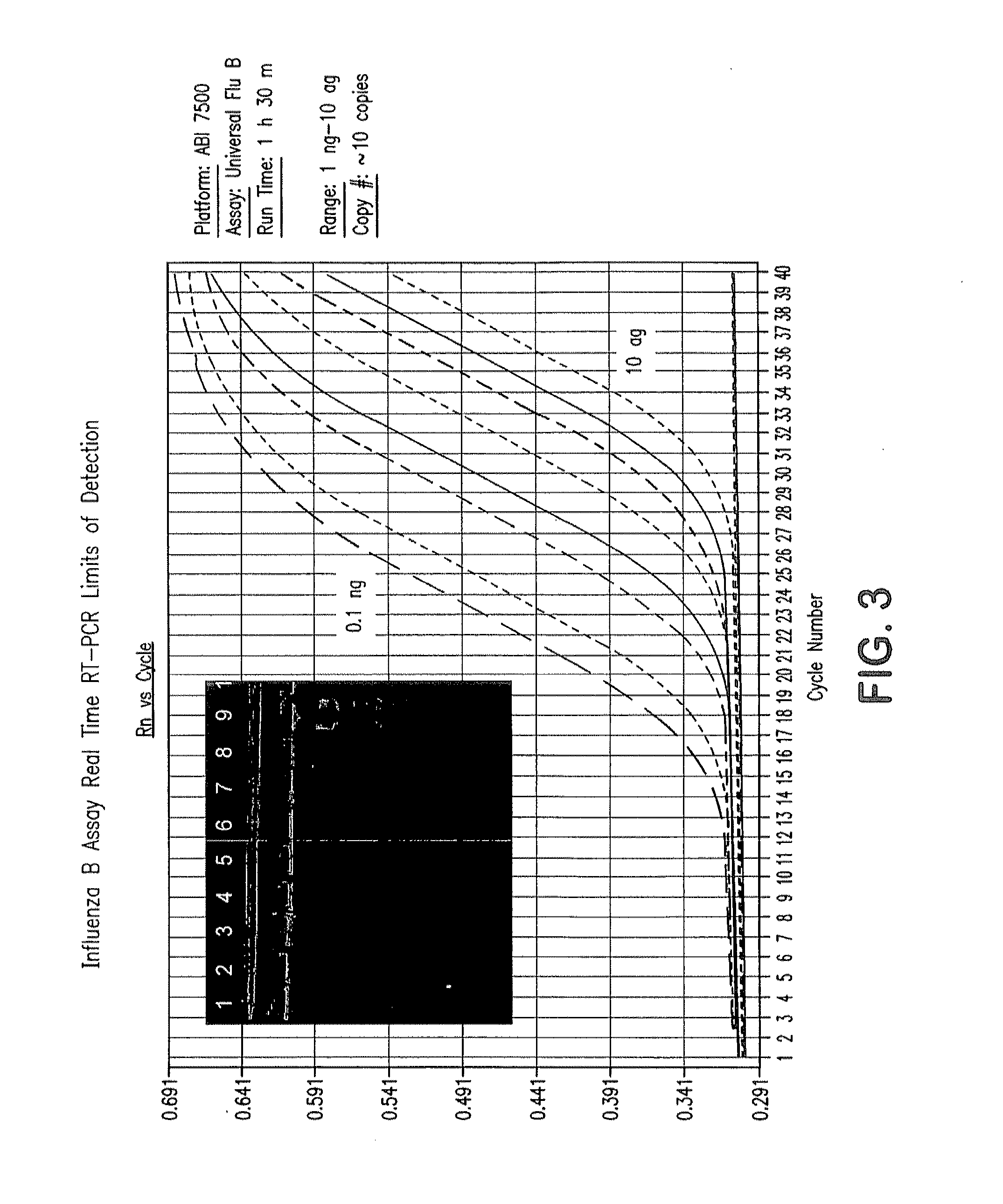 Compositions and Methods for Rapid, Real-Time Detection of Influenza A Virus (H1N1) Swine 2009