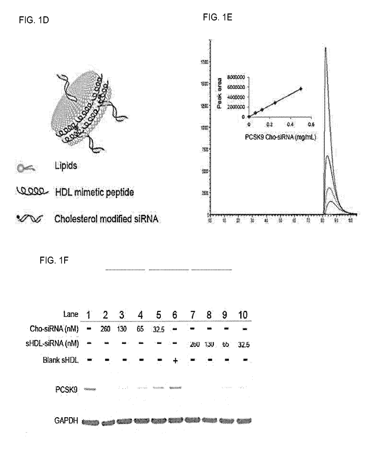 Compositions and methods for delivery of biomacromolecule agents