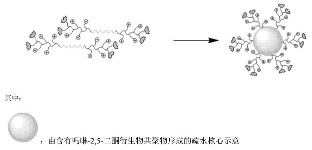Targeting triblock copolymer containing morpholine-2,5-dione derivative copolymer, preparation method and application