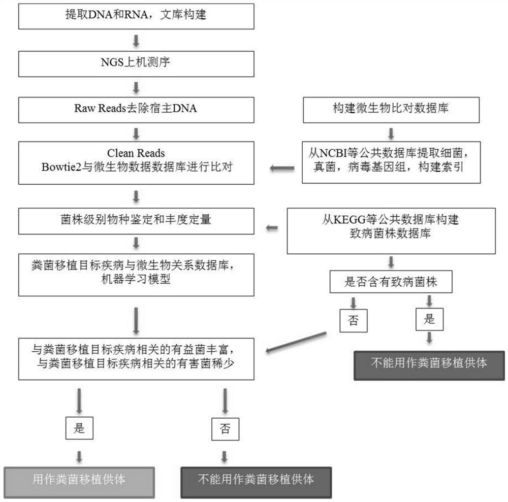 Whole-bacterium capsule as well as preparation method and application thereof