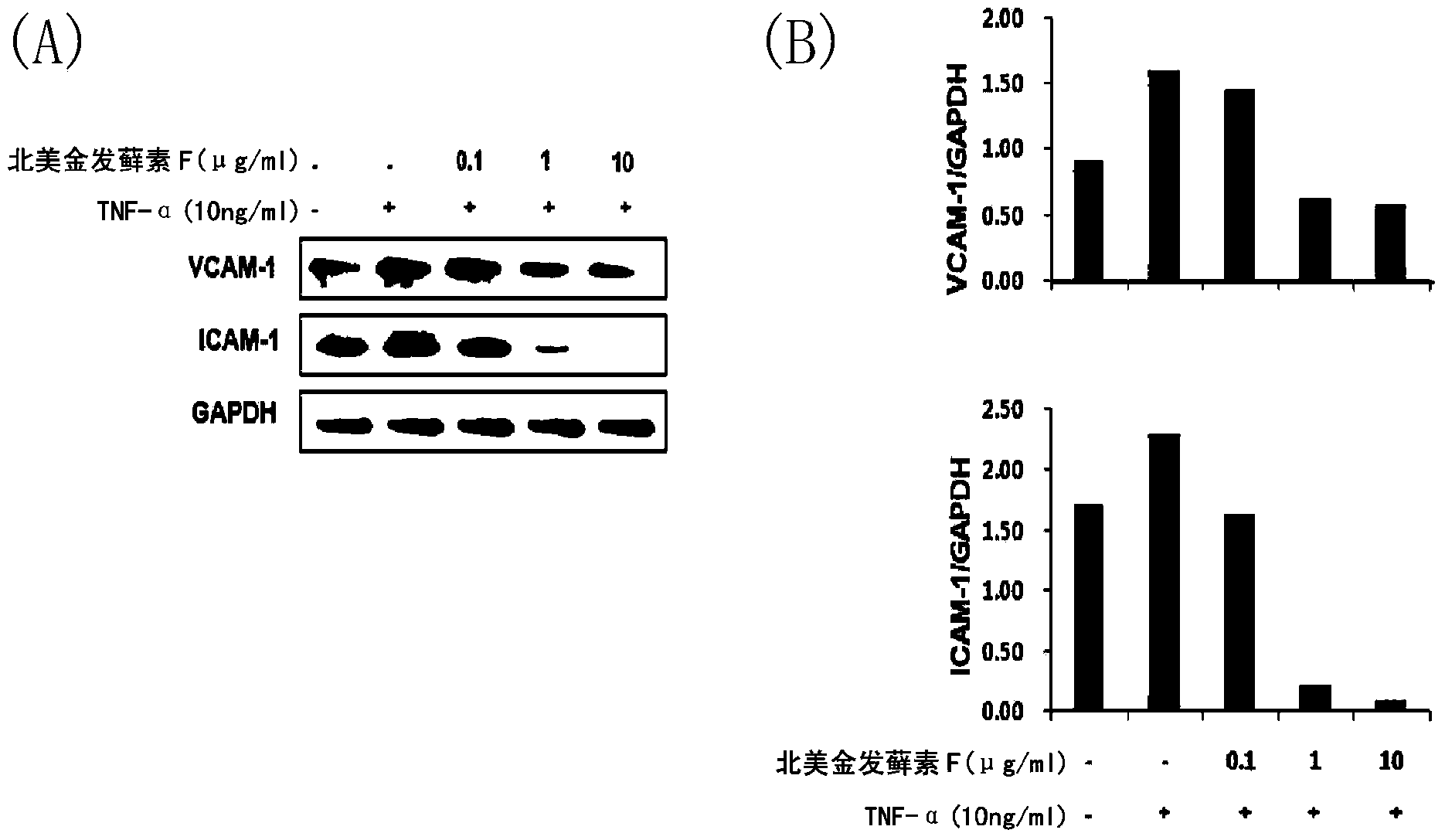 Composition containing ohioensins f as a polytrichastrum alpinum-derived novel compound for preventing or treating arteriosclerosis