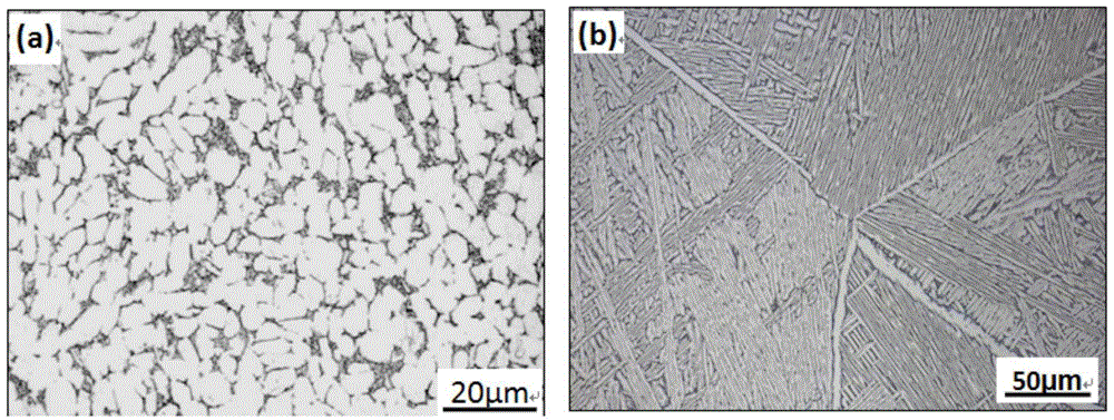 A kind of Widmanstatten titanium alloy with compound lamellar structure and preparation method thereof