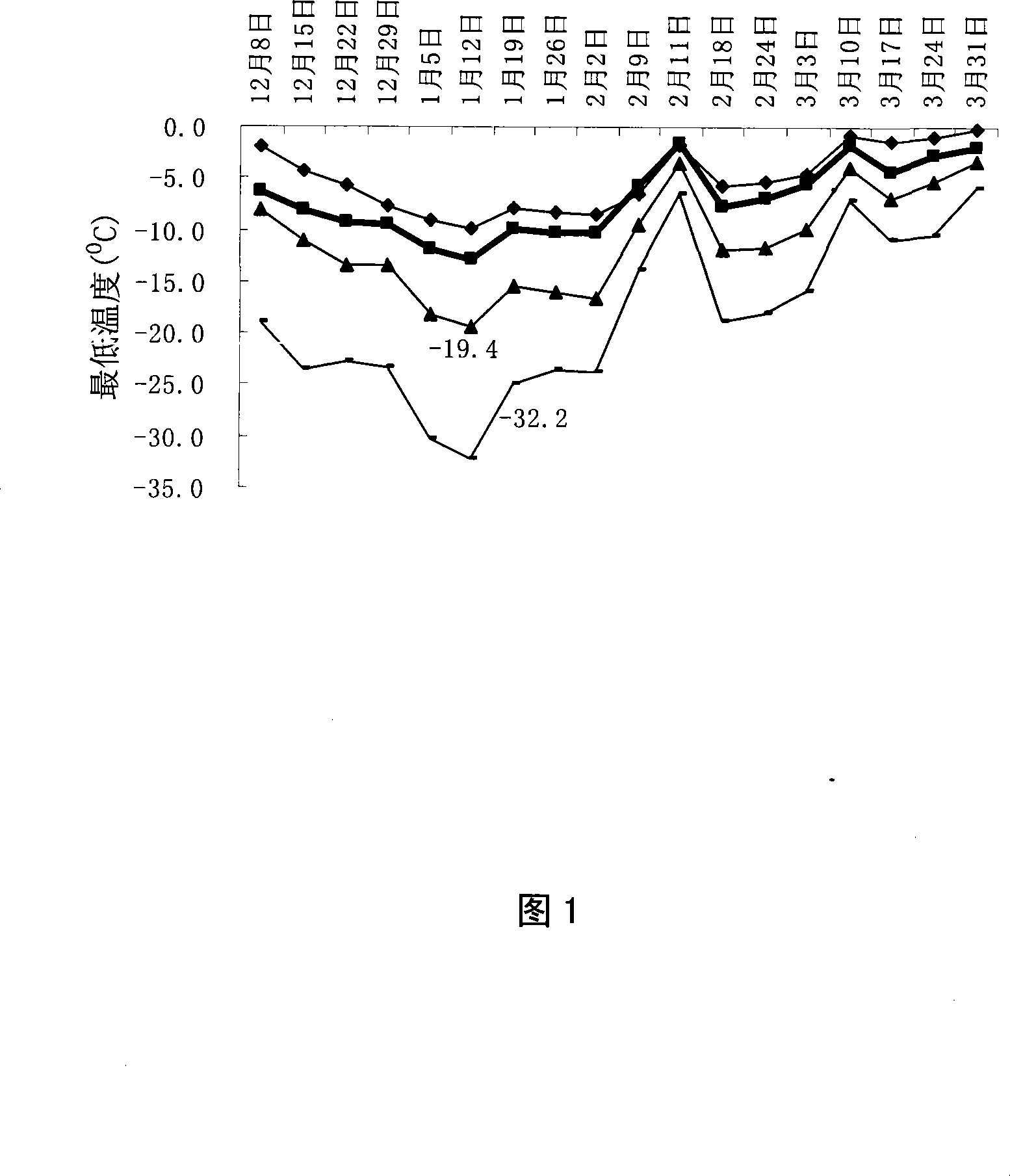 Method for the overwintering of double-layer overlapping type fruit tree