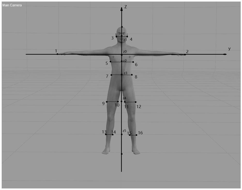 A 3D Human Body Modeling Method Based on OpenGL and Deep Learning