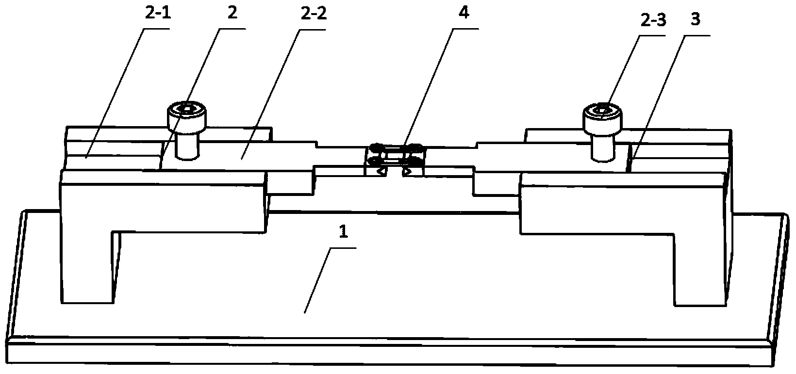 Fixing and observing device for living imaging of animal spinal cords