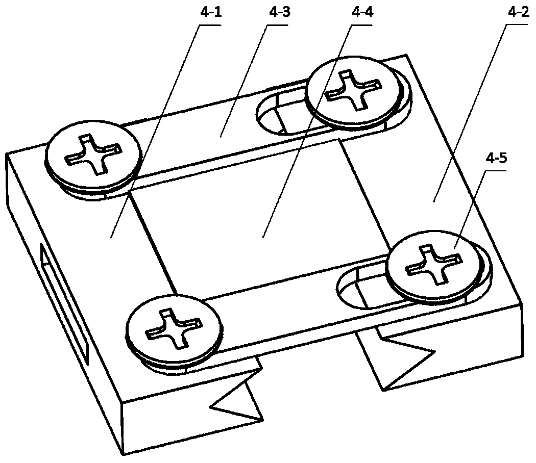 Fixing and observing device for living imaging of animal spinal cords