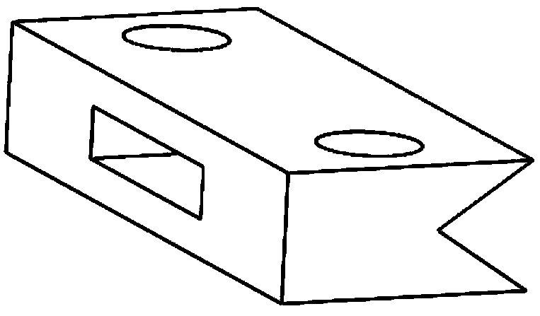 Fixing and observing device for living imaging of animal spinal cords