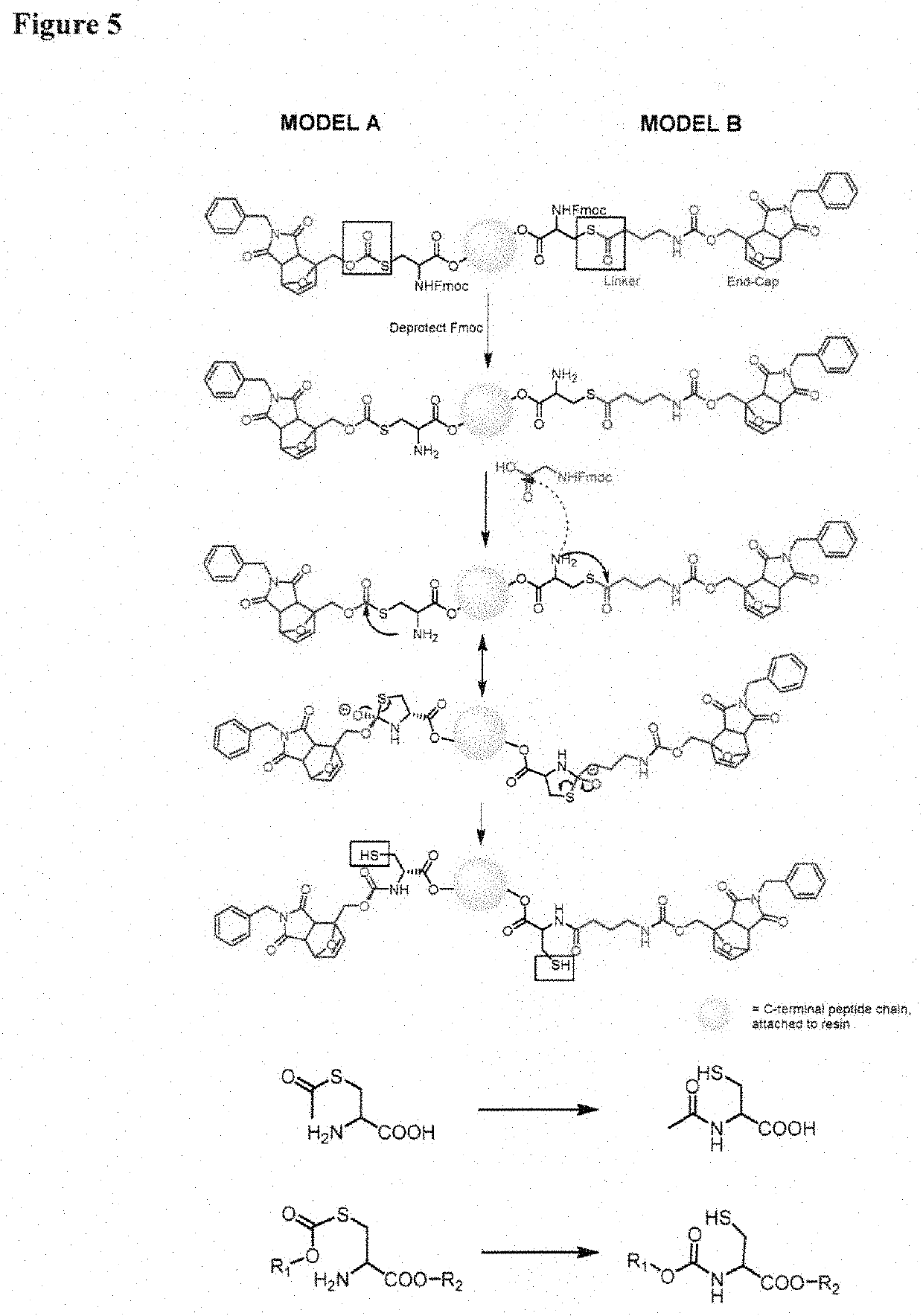 Thermally Sensitive Protecting Groups for Cysteine for Peptide Cyclization and Selective Disulfide Bond Formation