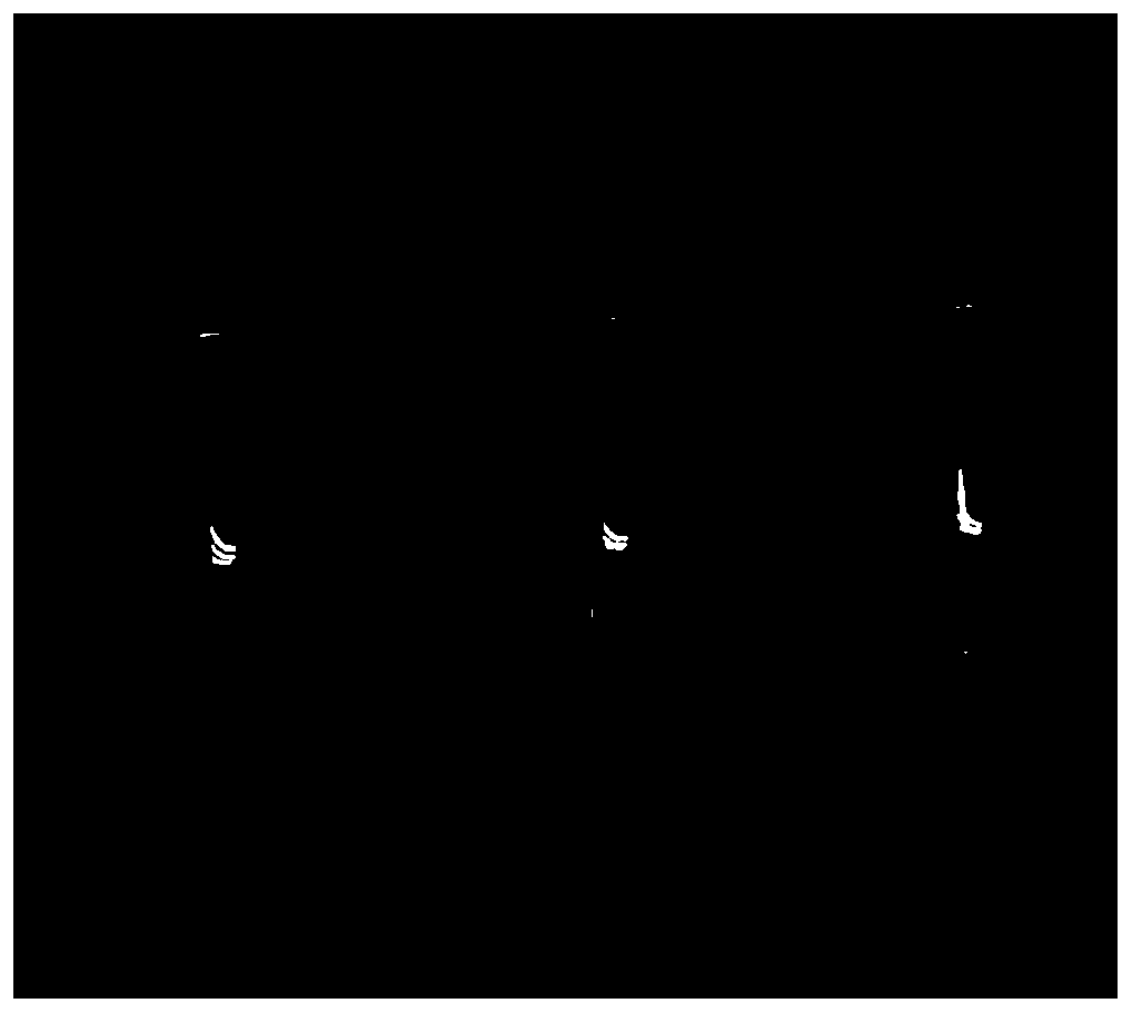 Primers and kit for detecting cat intestinal infection pathogens and application