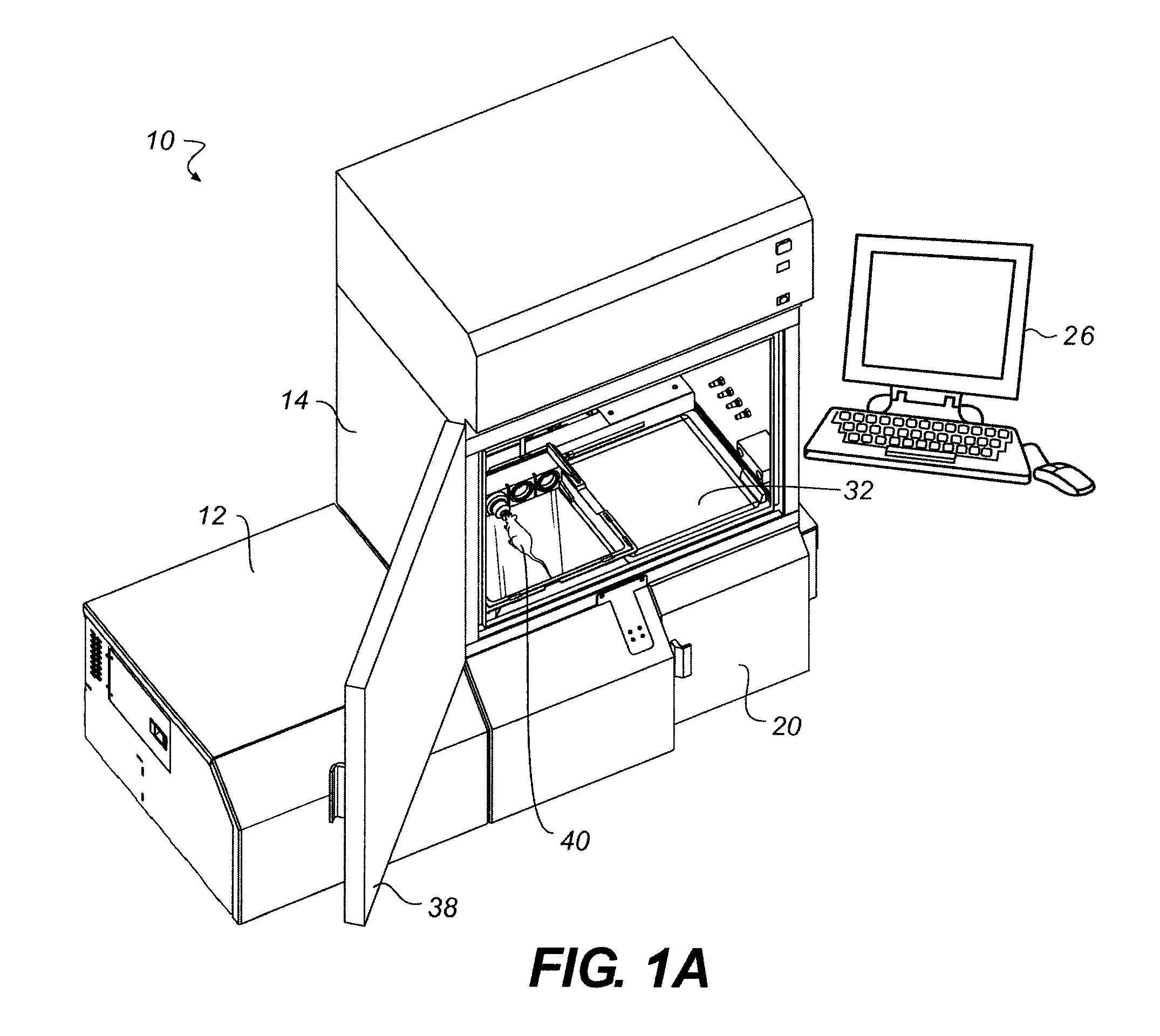 Torsional support apparatus and method for craniocaudal rotation of animals