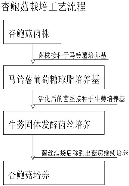 Method for Cultivating Pleurotus eryngii by Solid Fermentation of Burdock