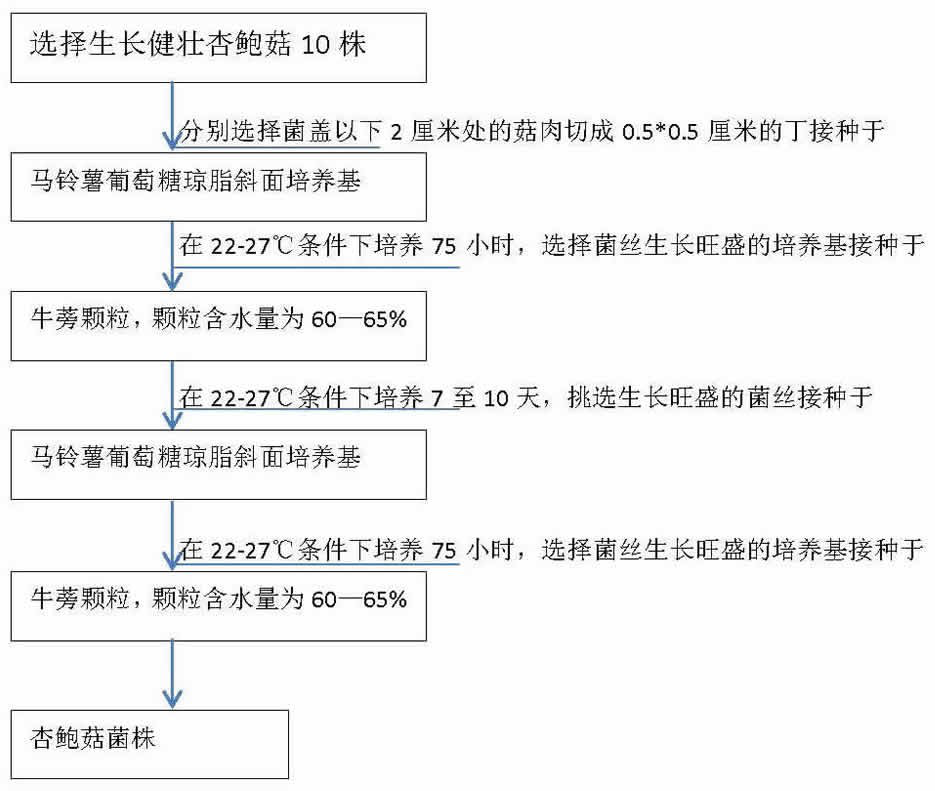 Method for Cultivating Pleurotus eryngii by Solid Fermentation of Burdock