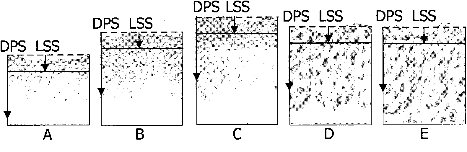A system, computer-readable medium, method, and use for combined epithelial early cancer diagnosis and staging