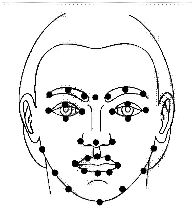 A facial expression cloning method and device for realizing real-time interaction with a virtual character