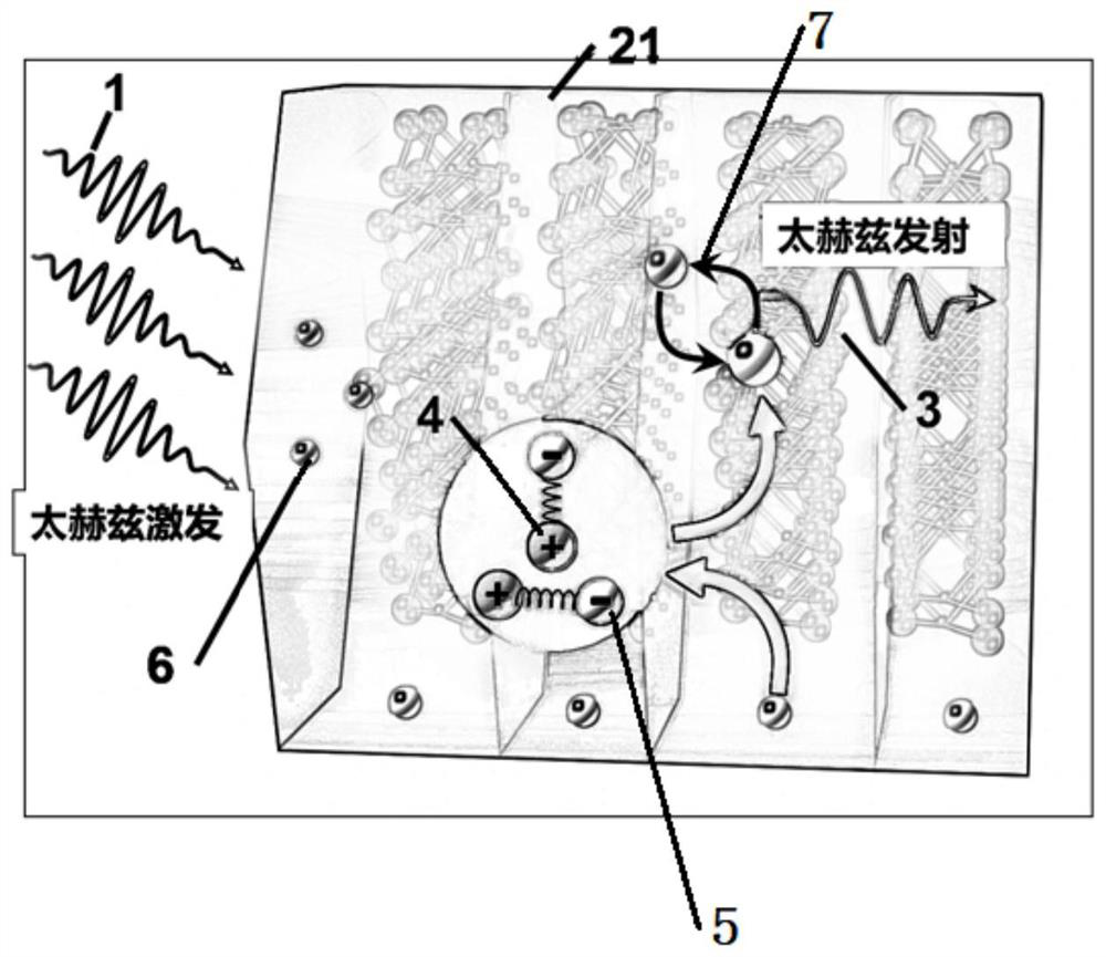 Terahertz generator based on two-dimensional material phonon mode