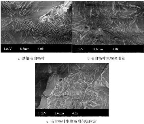 Method of using double acid treatment to prepare bio-adsorbent to treat printing and dying wastewater