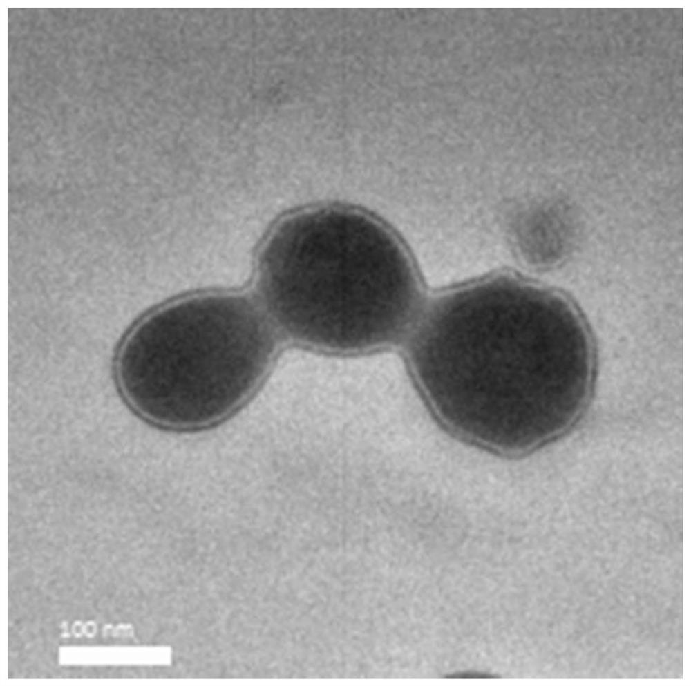 Loaded double-drug nanoparticles and its preparation method and application