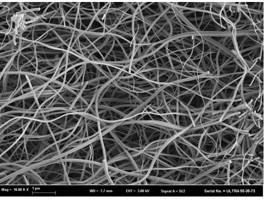 Silver phosphate/titanium dioxide nanocomposite and preparation method thereof