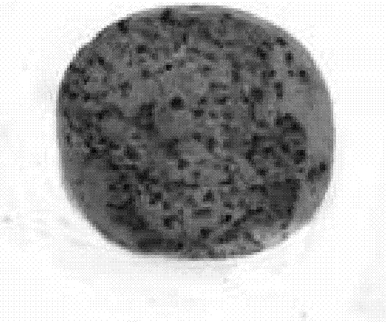 Preparation method and application of modified zeolite balls