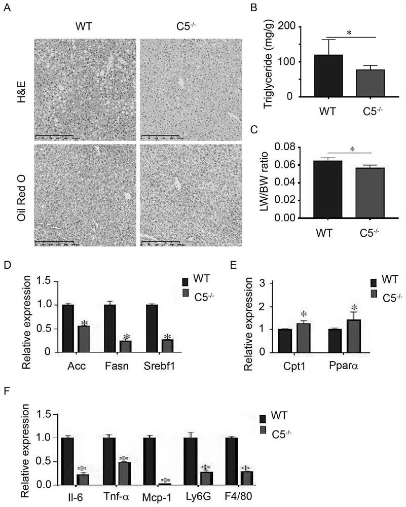 Application of PMX-53 polypeptide in preparation of medicine for treating non-alcoholic steatohepatitis