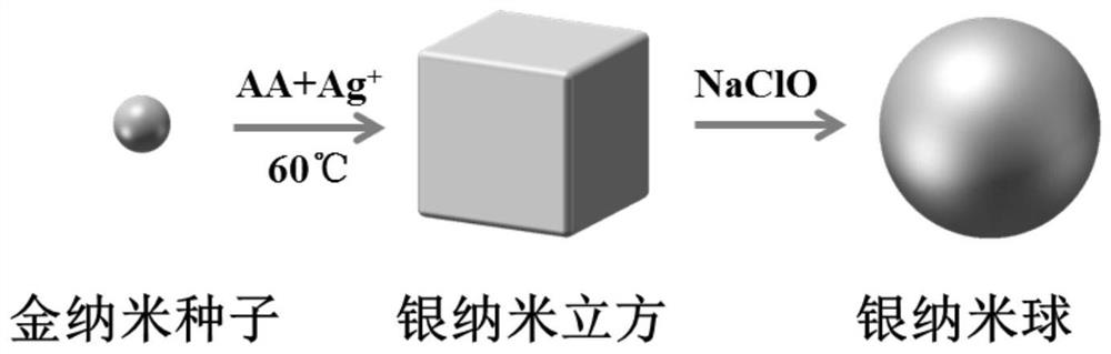 A kind of preparation method of single crystal silver nanosphere aqueous phase