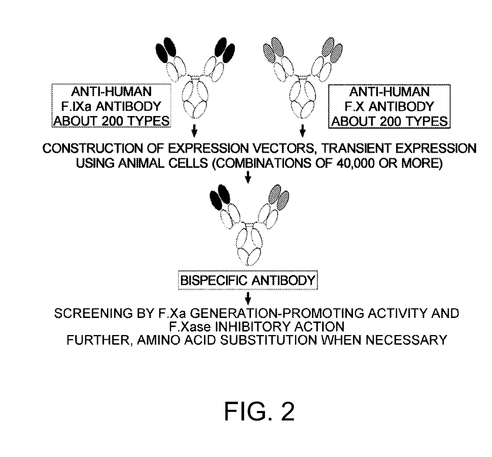 Multi-specific antigen-binding molecules and uses thereof