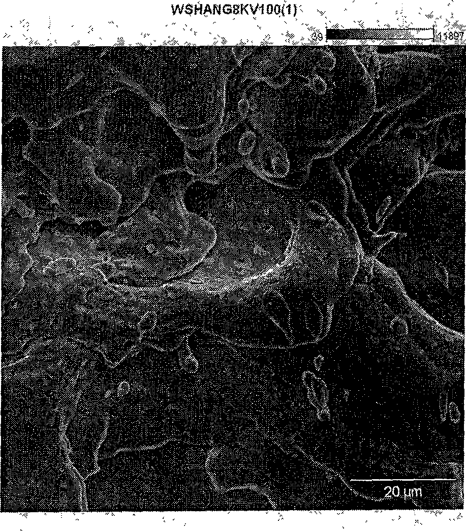 Chemical coprecipitation preparation of nano-rave-earth blend AgSnO2 electric contacting alloy