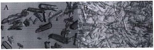 Preparation method of thiamine mononitrate