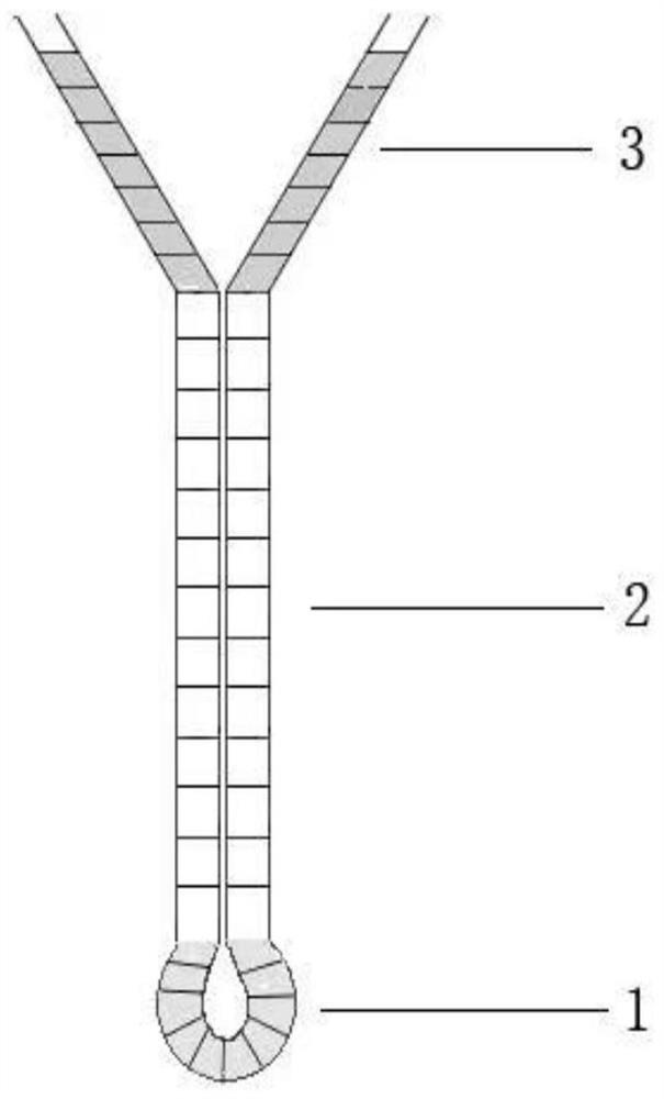 Preparation method of artificial antibody