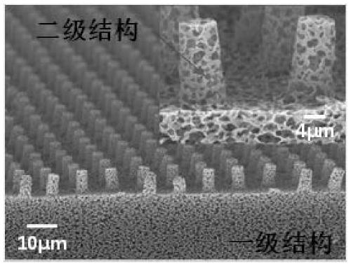 Superhydrophobic porous film and its preparation method and application