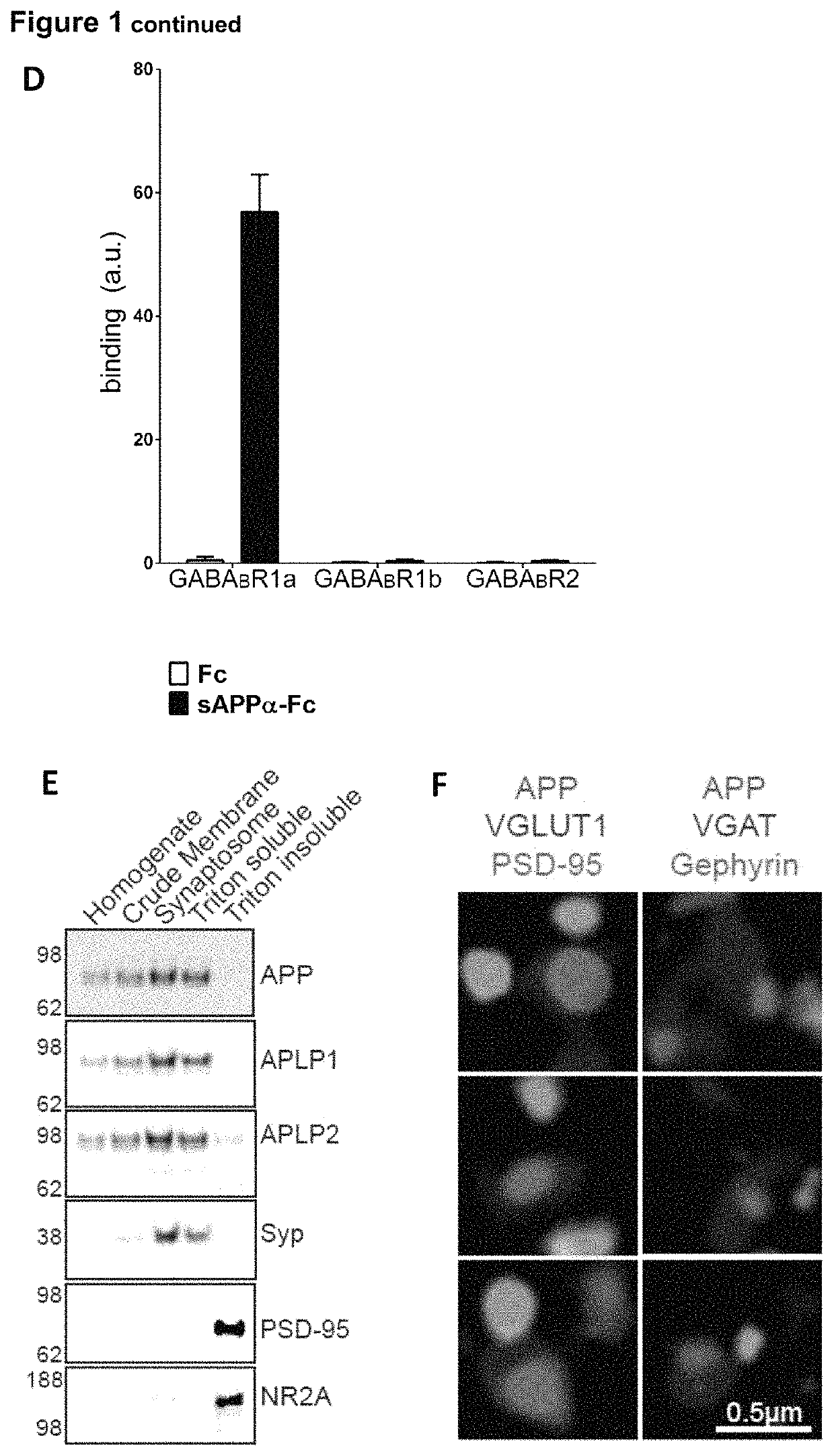 Therapeutic agents for neurological and psychiatric disorders