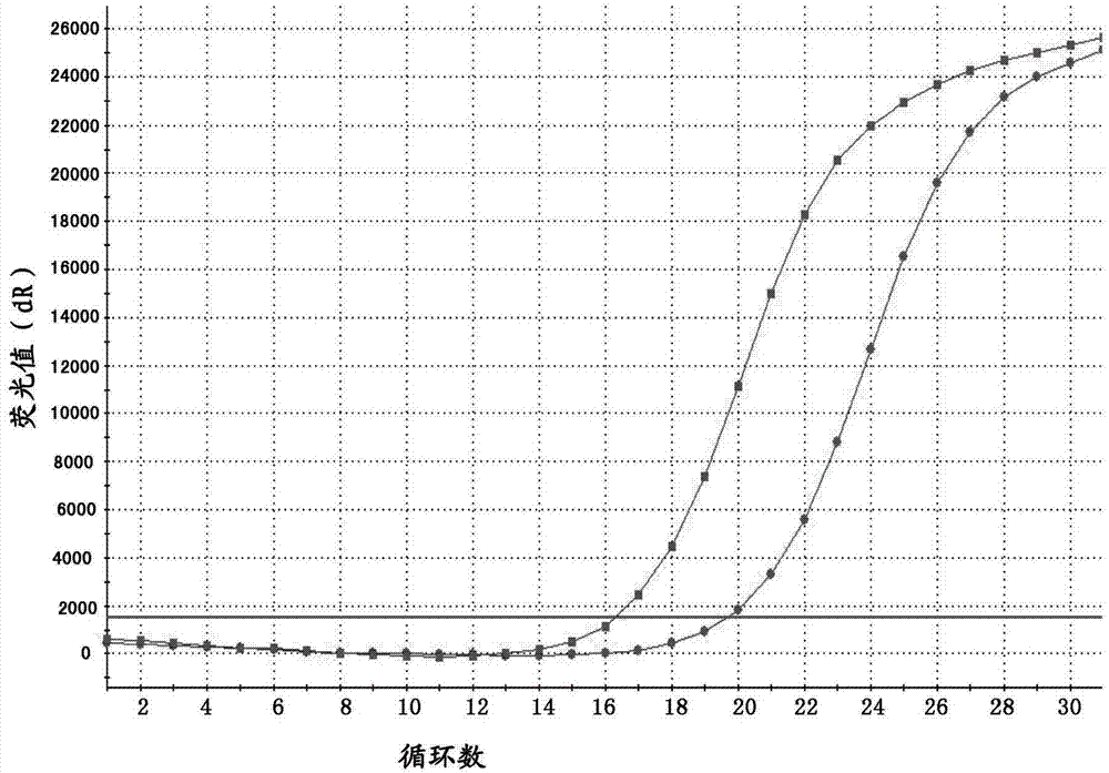 Probe, primer and detection kit for detecting C-KIT gene mutation