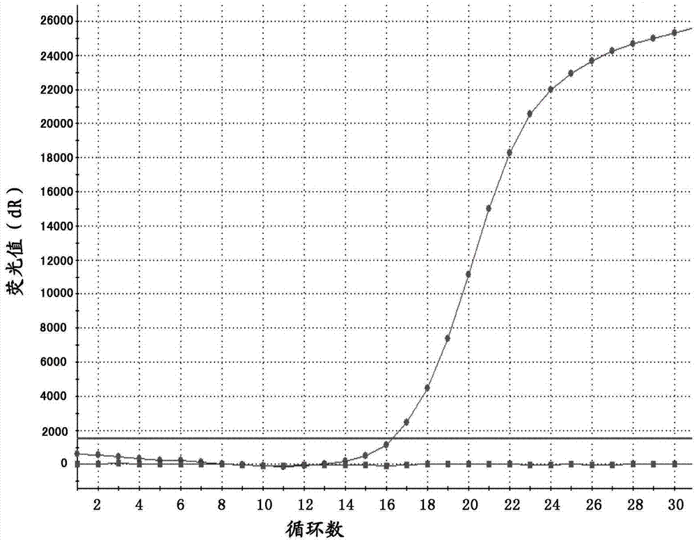 Probe, primer and detection kit for detecting C-KIT gene mutation