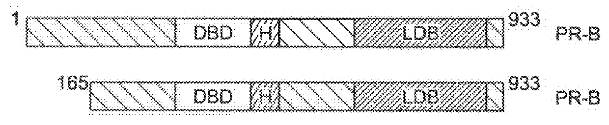 Methods and compositions for treating antiprogestin-resistant cancers