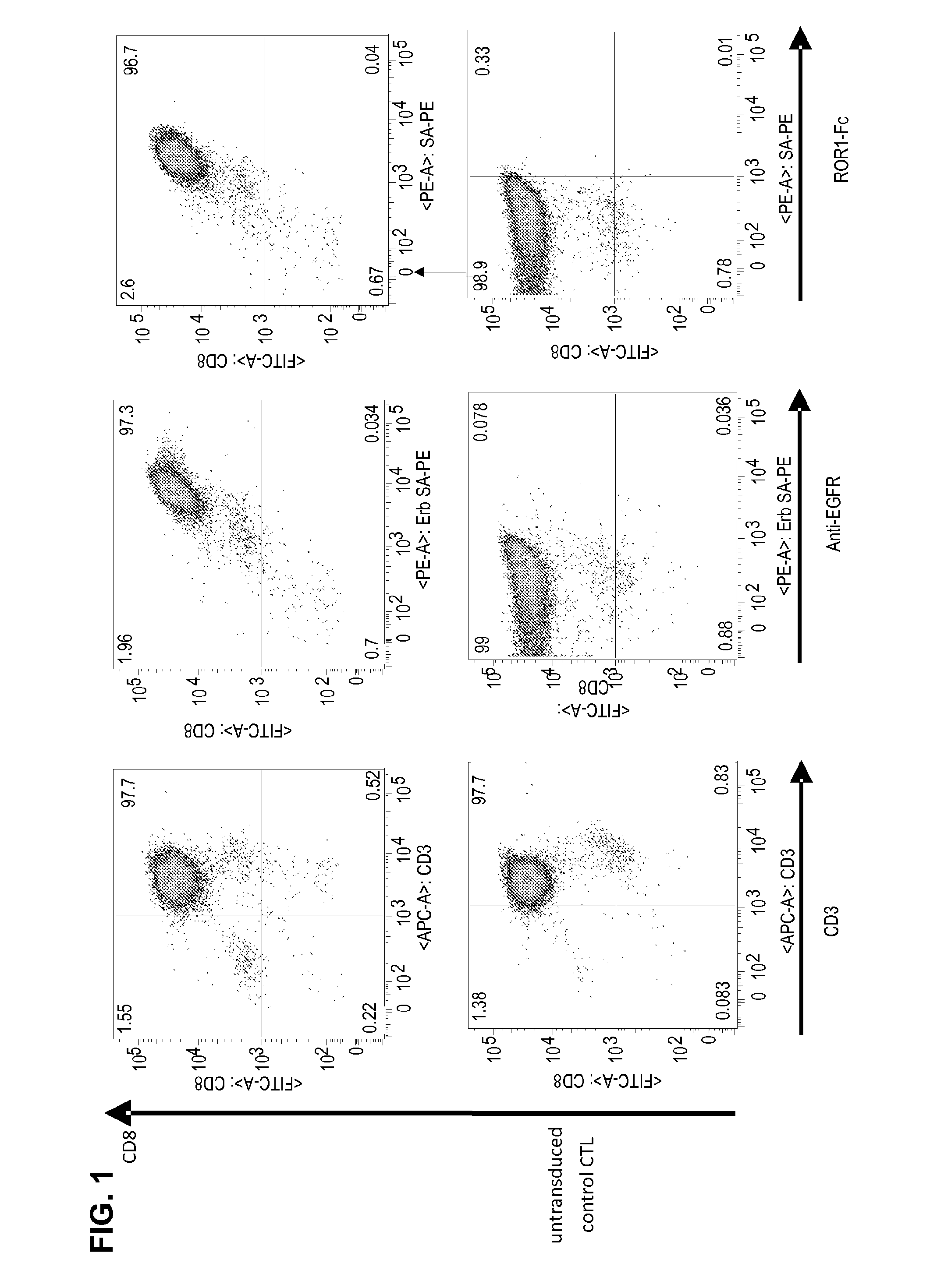 Method and compositions for cellular immunotherapy
