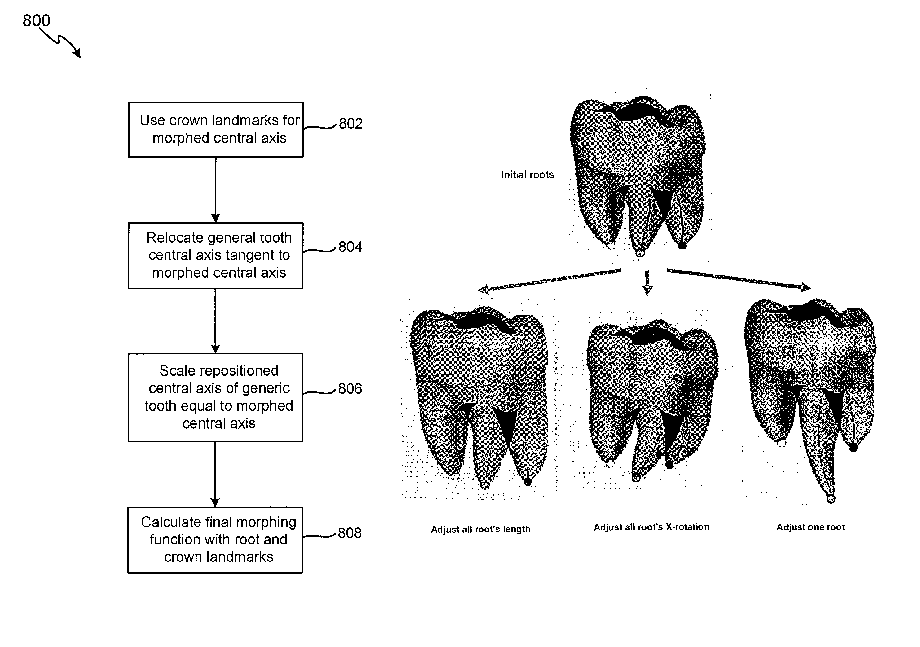 System and method for three-dimensional complete tooth modeling
