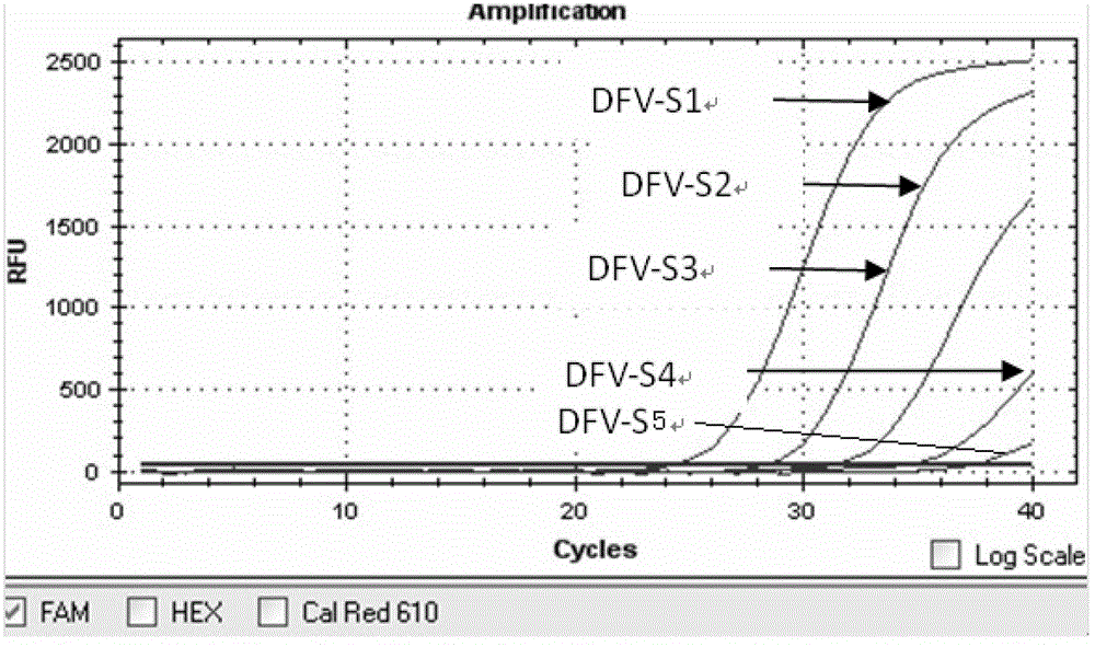 Multiplex-fluorescence PCR (Polymerase Chain Reaction) detection kit and application thereof